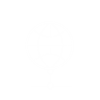 icons-globe-Cloud privé vmware